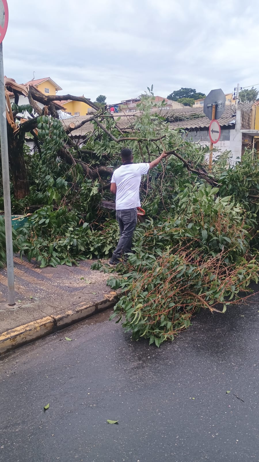 Ciclone Extratropical surpreende Santa Isabel e Prefeitura mobiliza força-tarefa para minimizar impactos